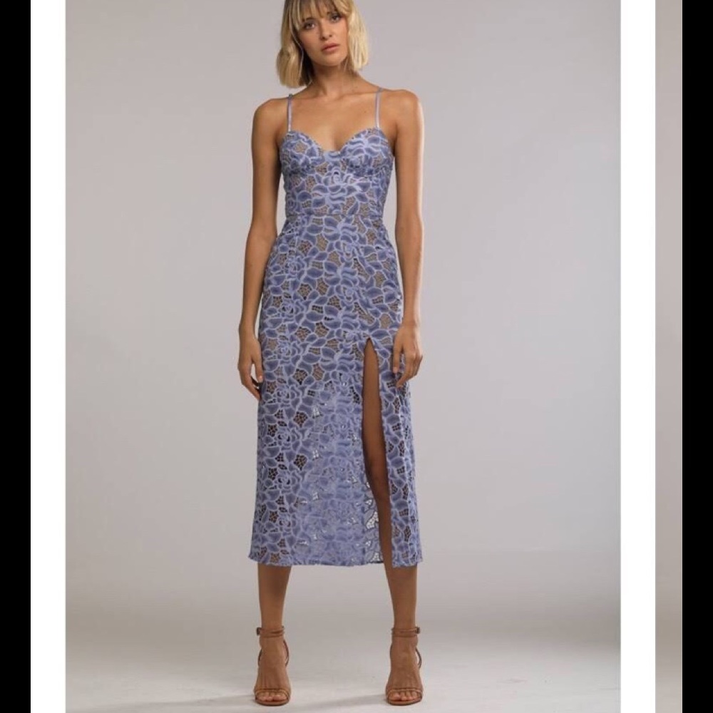 NWT Sau-Lee Celina sheer lace bustier dress